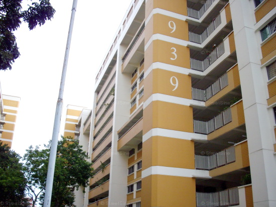 Blk 939 Jurong West Street 91 (Jurong West), HDB 3 Rooms #431492